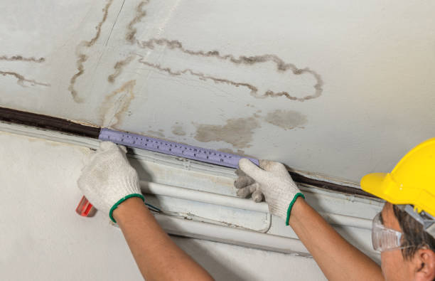 Reliable Basement Water Removal contractor in Springfield, MN by Water Damage Irwin